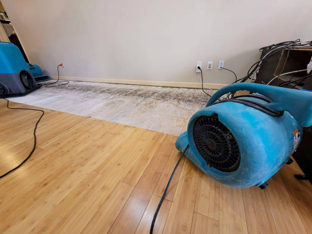 Professional Water Extraction technician working in Pinetop, AZ